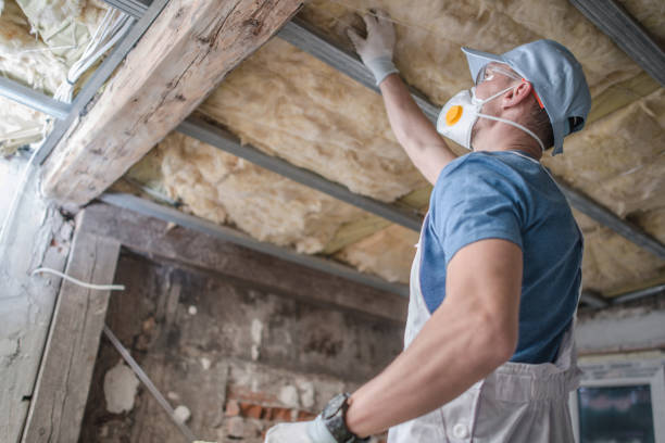 Best Residential Insulation in Wilson, AR