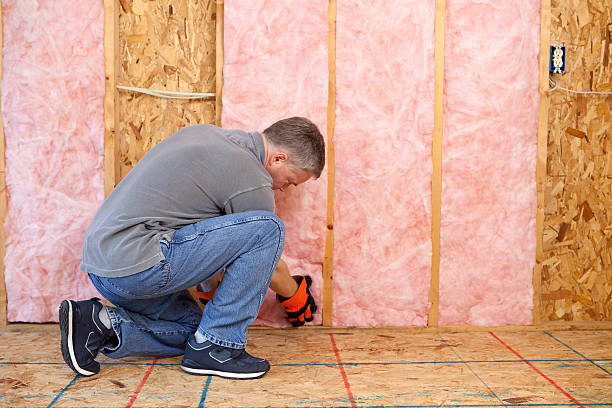 Best Insulation Maintenance and Repair in Wilson, AR
